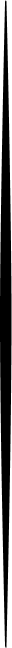 Separator graphic between unit and master franchise columns