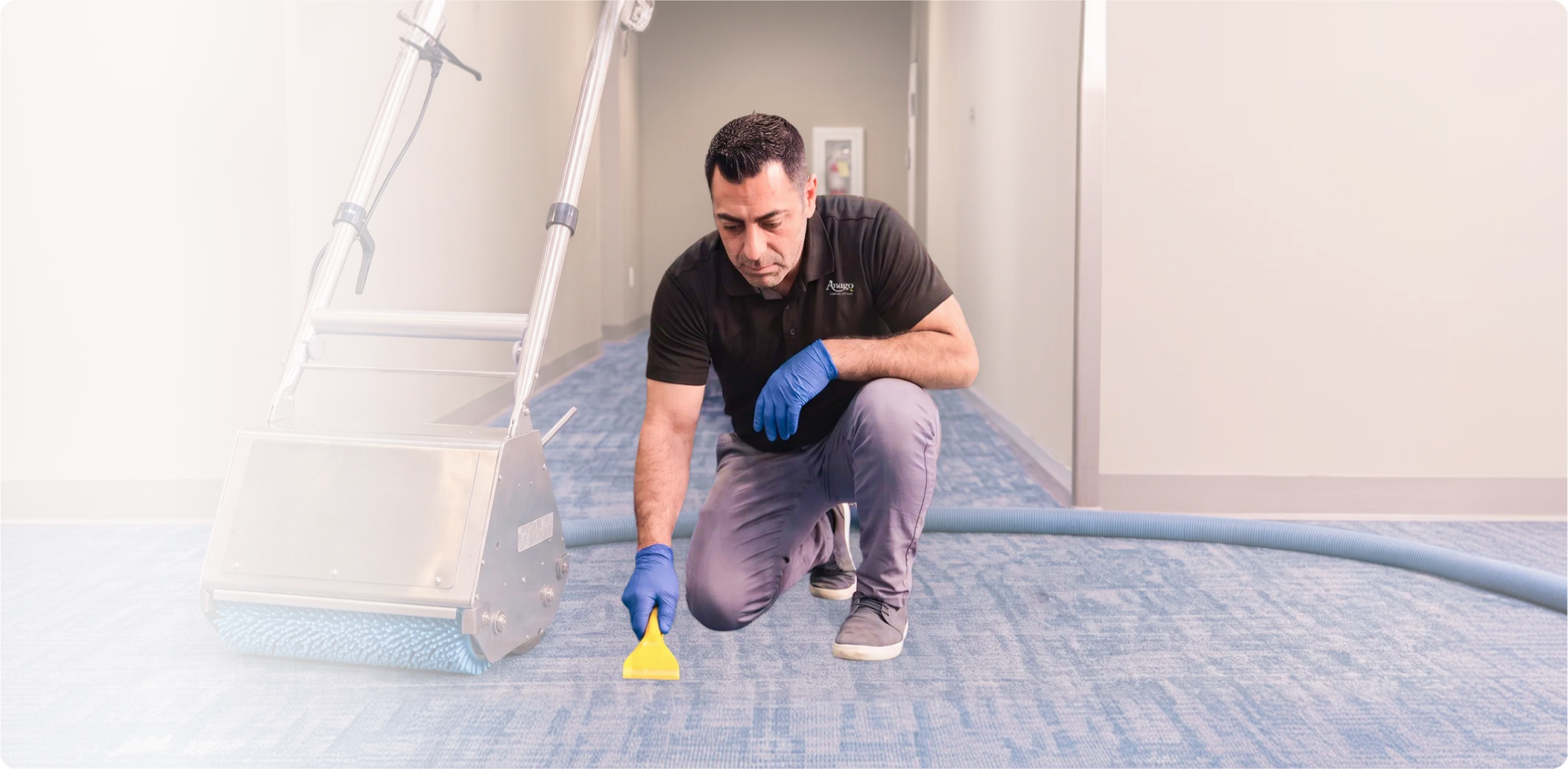 Commercial Carpet Cleaning Services – Anago Cleaning Systems
