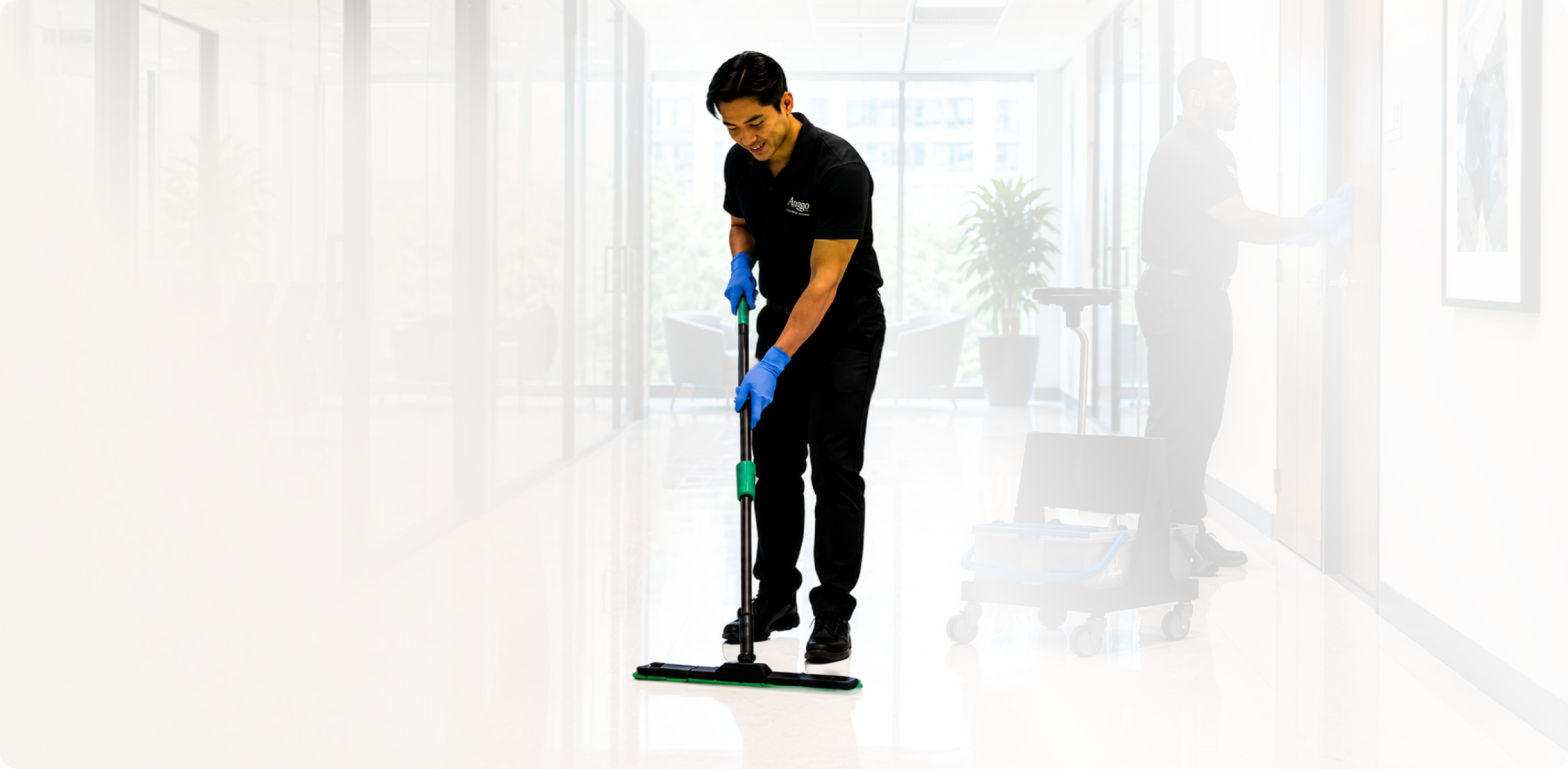 Law Firm Cleaning Services